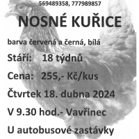 Prodej nosných kuřic ve Vavřinci 18.4.2024 v 9,30 hod.